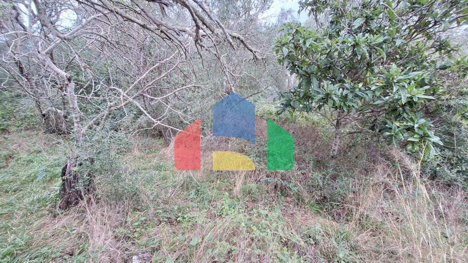 Продажа - Земельный участок 5000 m² на о. Корфу