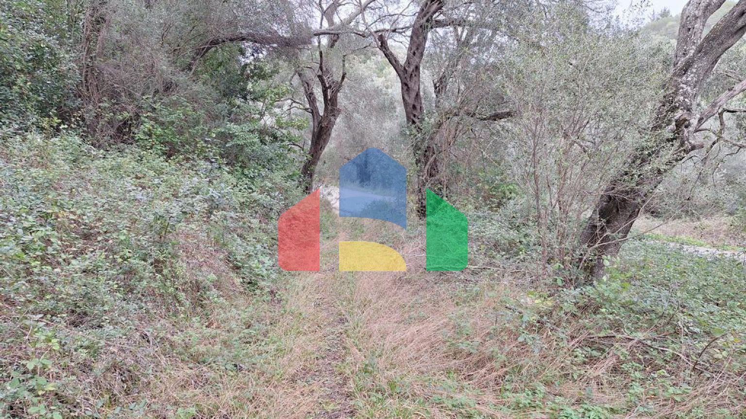 Продажа - Земельный участок 5000 m² на о. Корфу