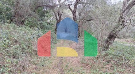 Продажа - Земельный участок 5000 m² на о. Корфу