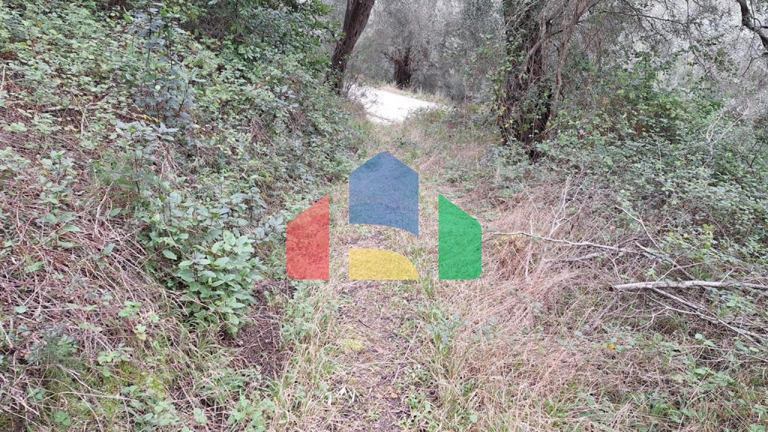 Продажа - Земельный участок 5000 m² на о. Корфу