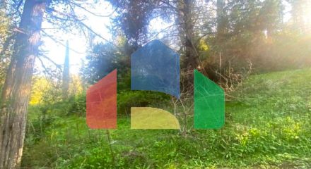 Продажа - Земельный участок 5879 m² на о. Корфу