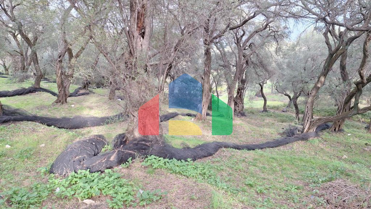 Продажа - Земельный участок 2300 m² на о. Корфу