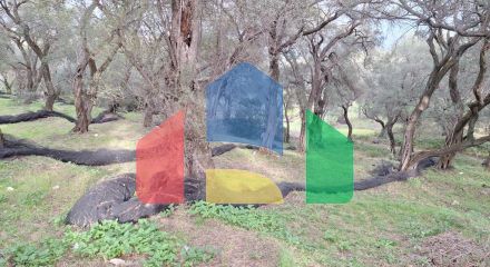 Продажа - Земельный участок 2300 m² на о. Корфу