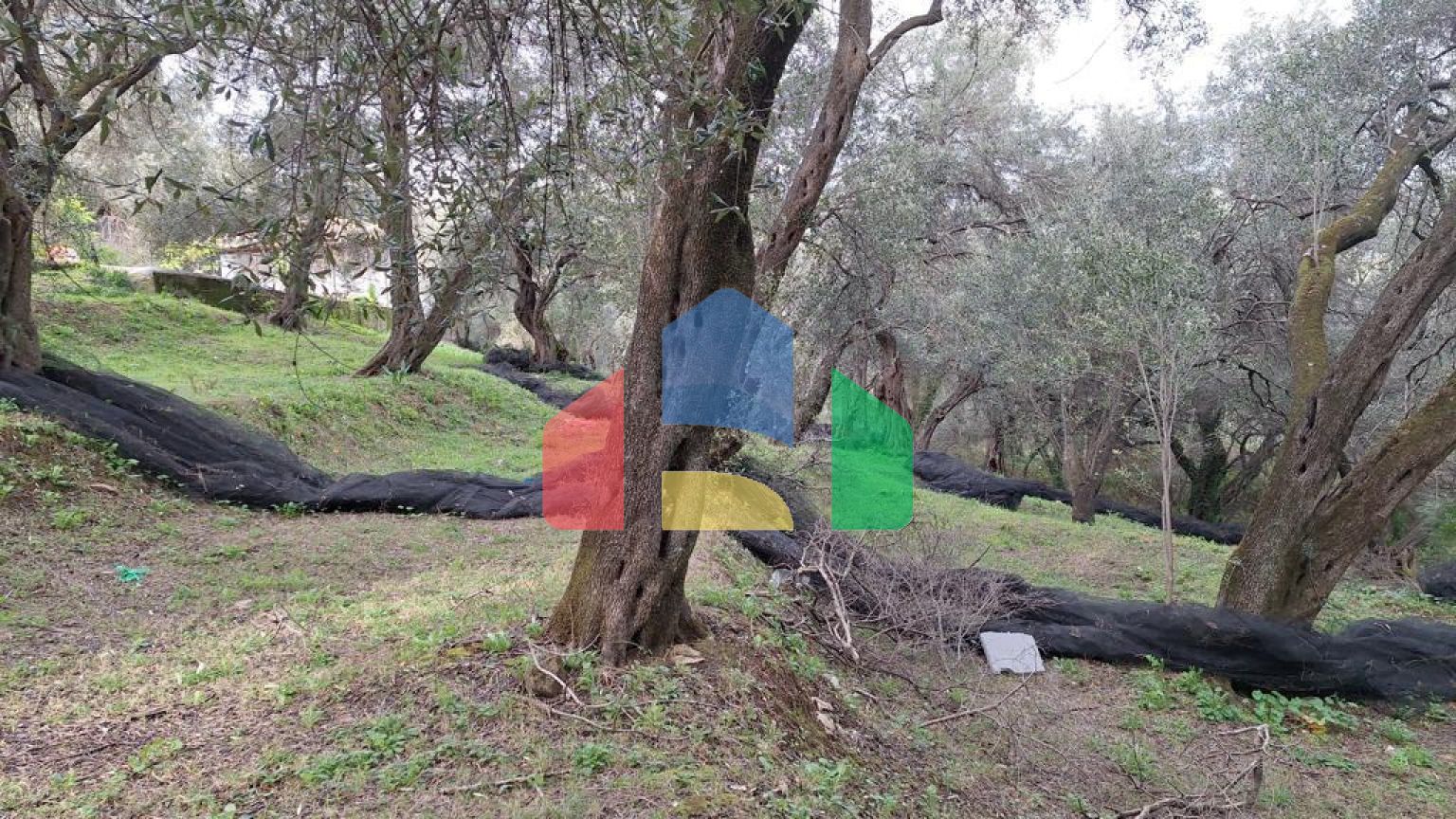 Продажа - Земельный участок 2300 m² на о. Корфу