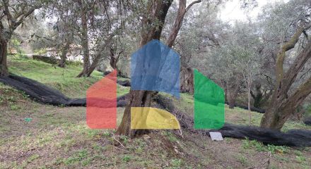 Продажа - Земельный участок 2300 m² на о. Корфу