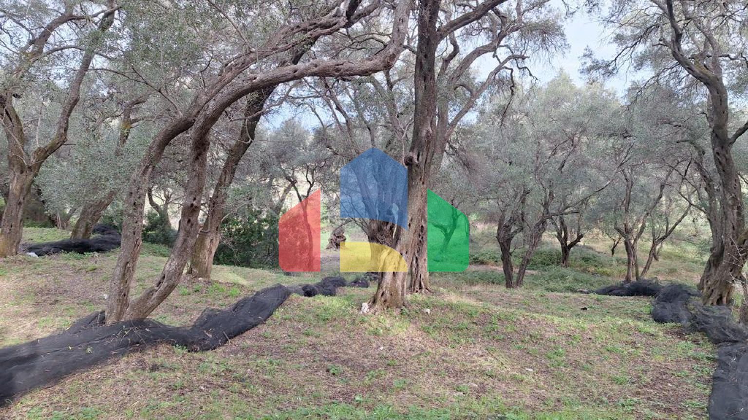 Продажа - Земельный участок 2300 m² на о. Корфу