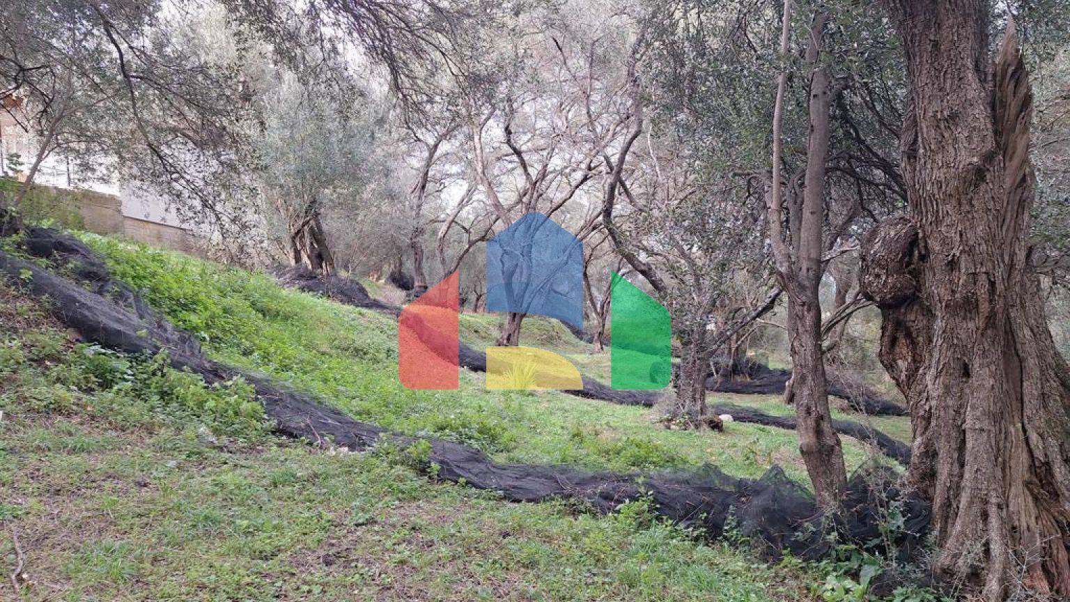 Продажа - Земельный участок 2300 m² на о. Корфу