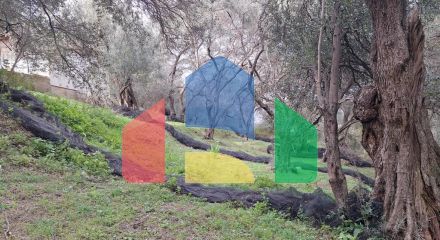 Продажа - Земельный участок 2300 m² на о. Корфу