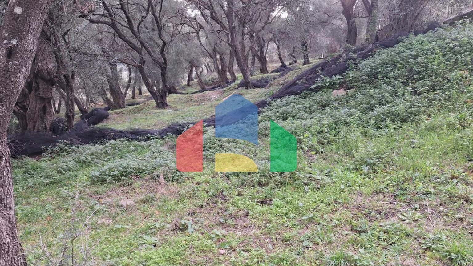 Продажа - Земельный участок 2300 m² на о. Корфу