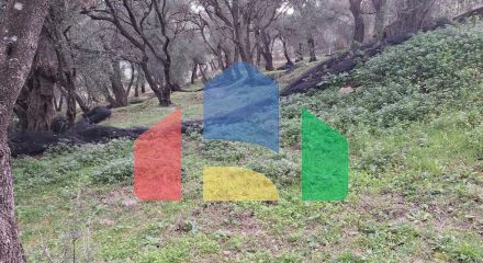 Продажа - Земельный участок 2300 m² на о. Корфу