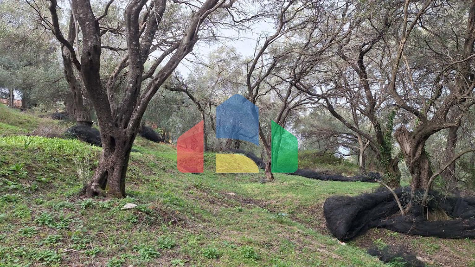 Продажа - Земельный участок 2300 m² на о. Корфу