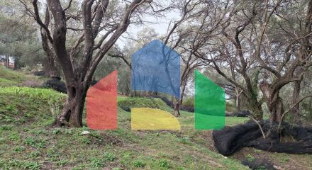 Продажа - Земельный участок 2300 m² на о. Корфу