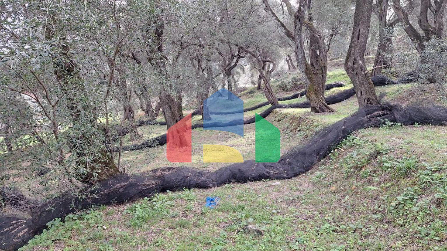 Продажа - Земельный участок 2300 m² на о. Корфу