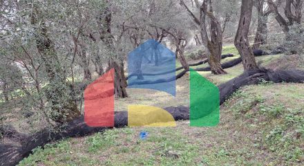 Продажа - Земельный участок 2300 m² на о. Корфу