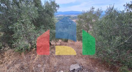 Продажа - Земельный участок 13000 m² на о. Корфу