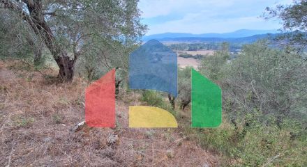 Продажа - Земельный участок 13000 m² на о. Корфу