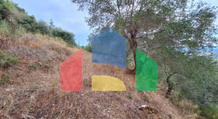 Продажа - Земельный участок 13000 m² на о. Корфу