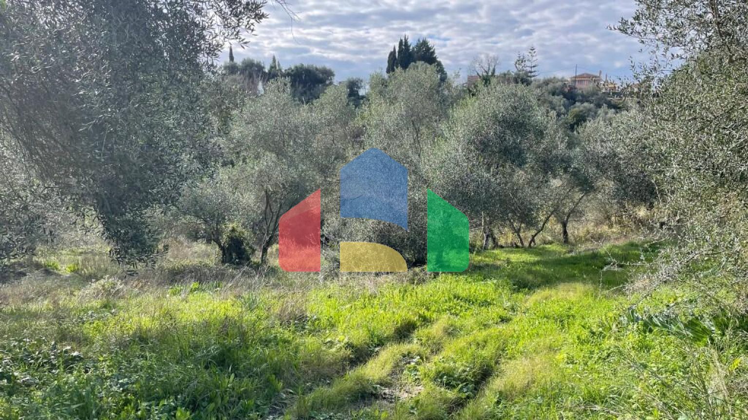 Продажа - Земельный участок 7754 m² на о. Корфу