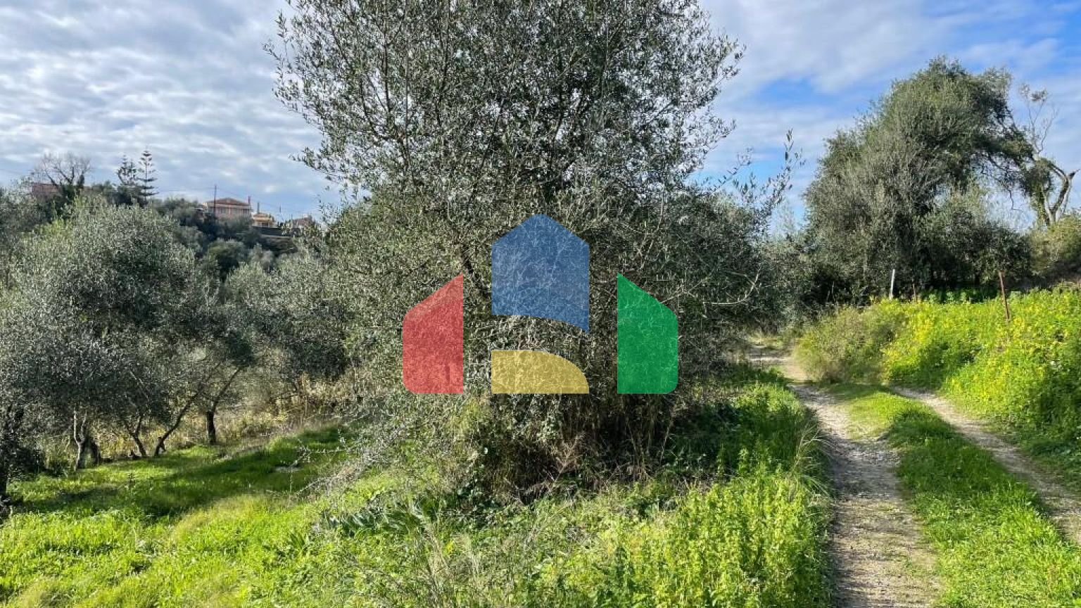 Продажа - Земельный участок 7754 m² на о. Корфу