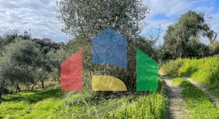 Продажа - Земельный участок 7754 m² на о. Корфу