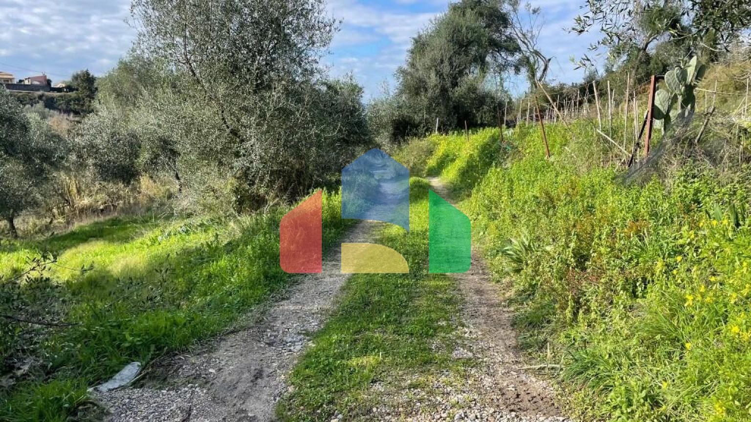 Продажа - Земельный участок 7754 m² на о. Корфу