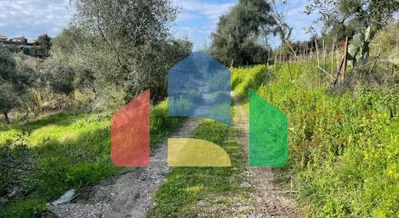 Продажа - Земельный участок 7754 m² на о. Корфу