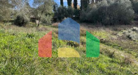 Продажа - Земельный участок 7754 m² на о. Корфу