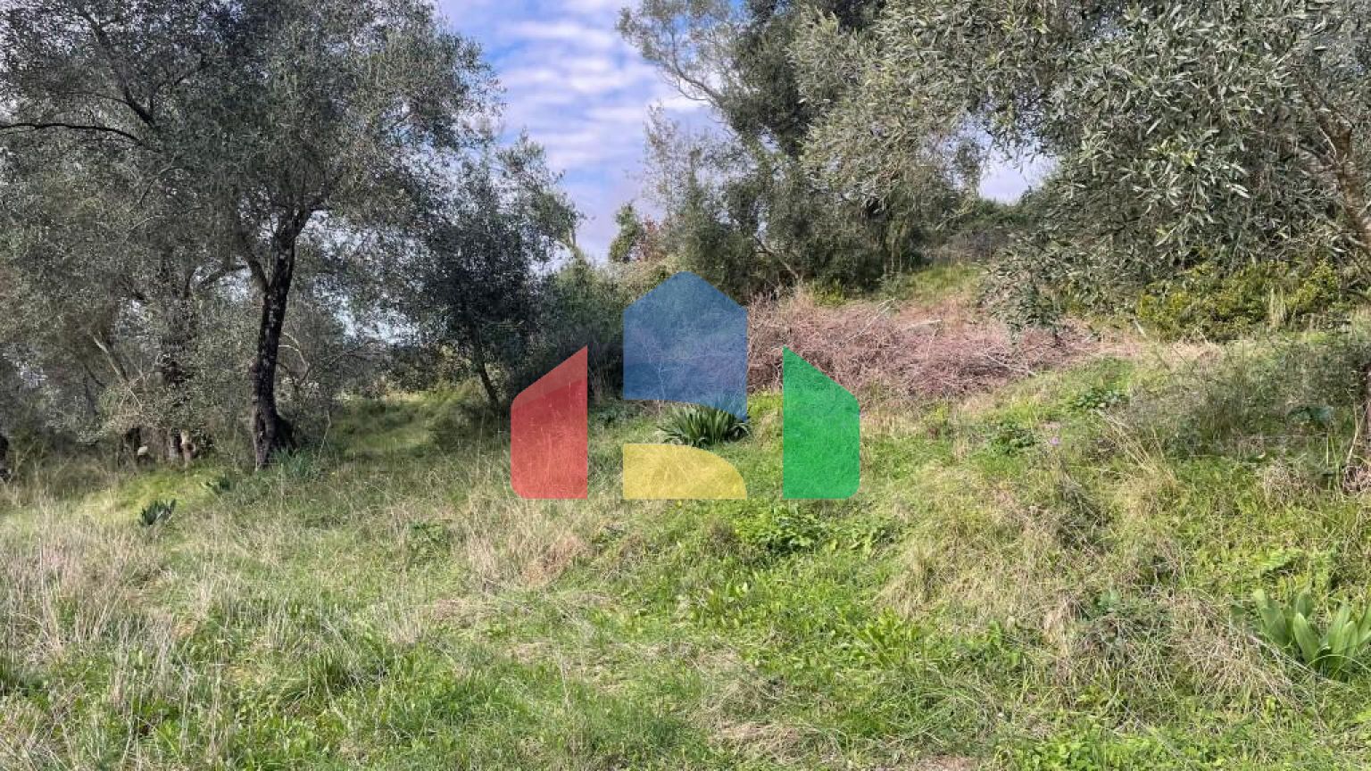 Продажа - Земельный участок 7754 m² на о. Корфу