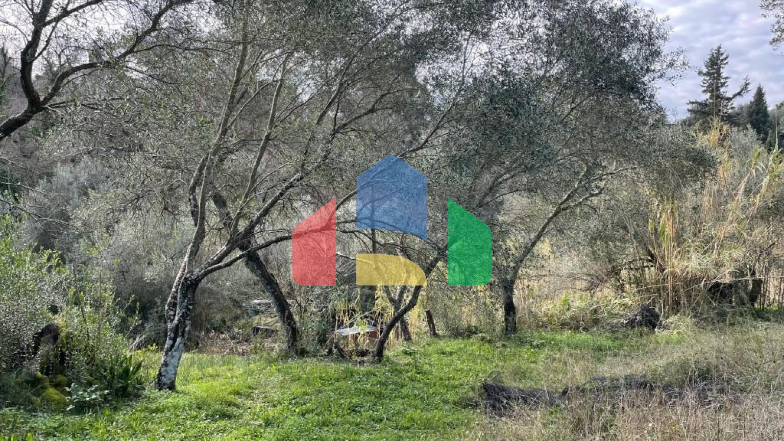 Продажа - Земельный участок 7754 m² на о. Корфу