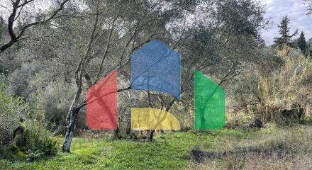 Продажа - Земельный участок 7754 m² на о. Корфу