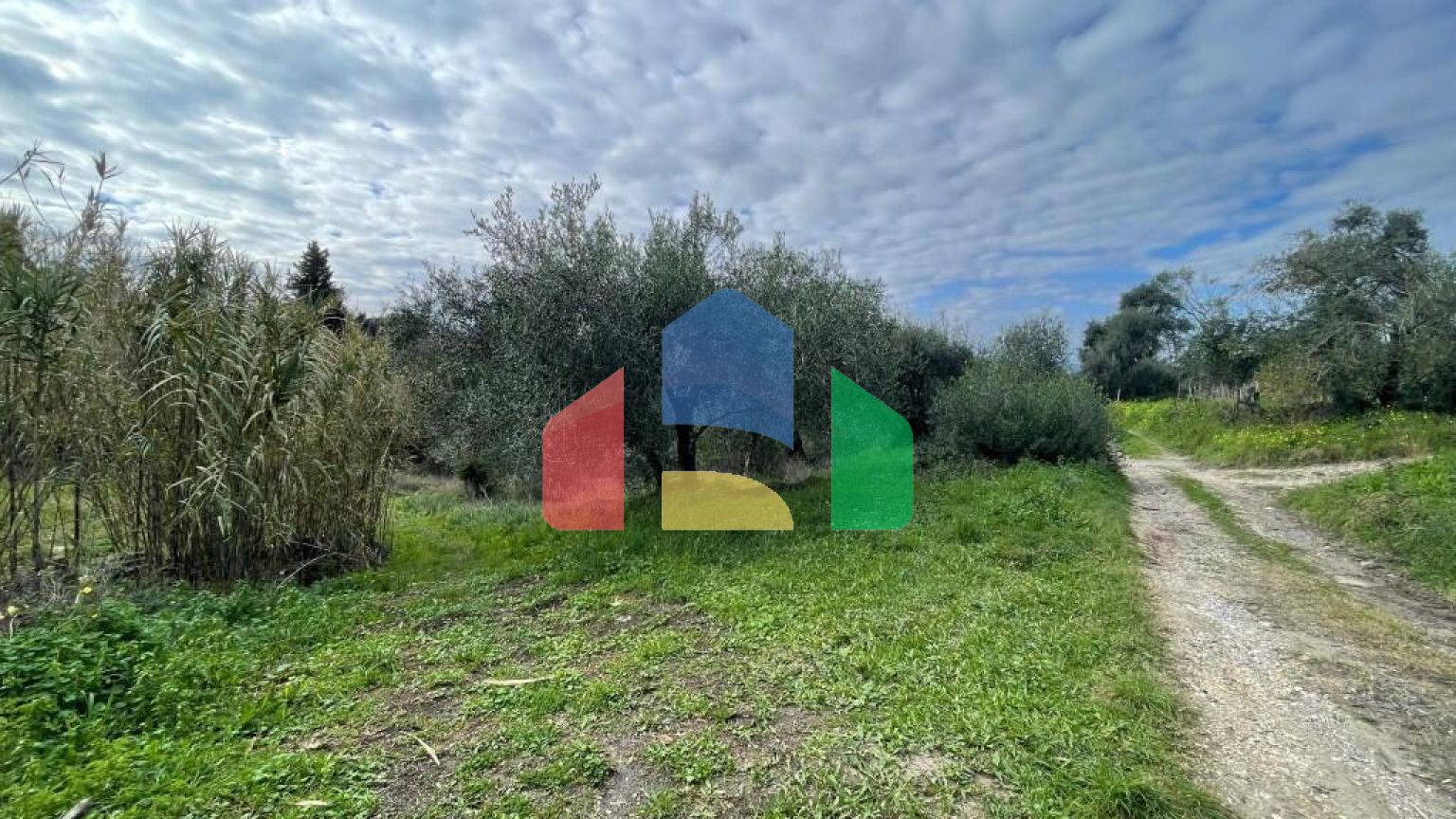 Продажа - Земельный участок 7754 m² на о. Корфу