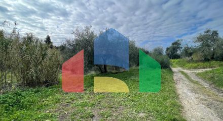 Продажа - Земельный участок 7754 m² на о. Корфу