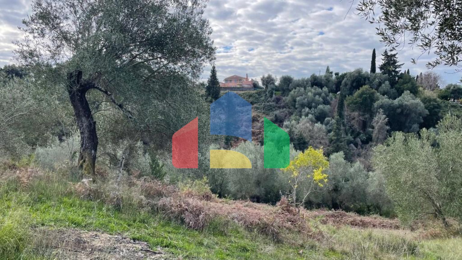 Продажа - Земельный участок 7754 m² на о. Корфу