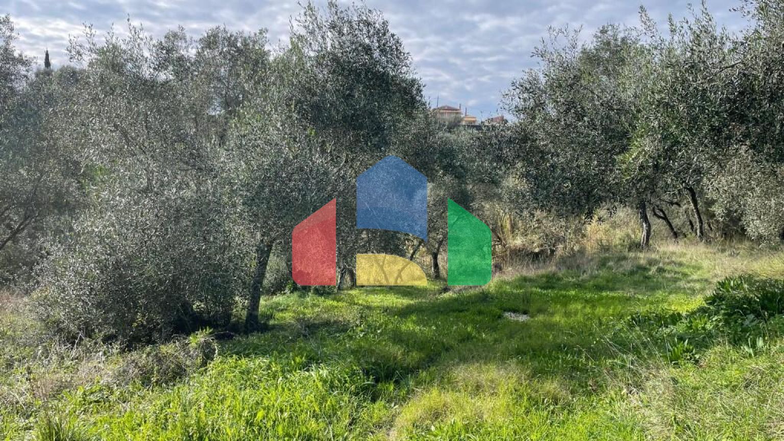 Продажа - Земельный участок 7754 m² на о. Корфу