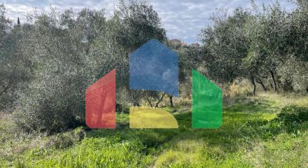 Продажа - Земельный участок 7754 m² на о. Корфу