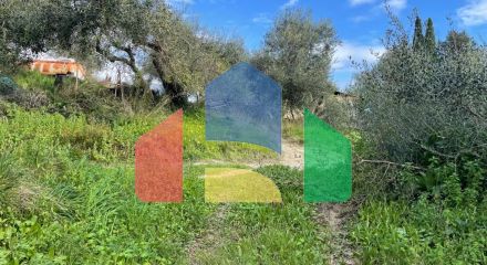 Продажа - Земельный участок 7754 m² на о. Корфу