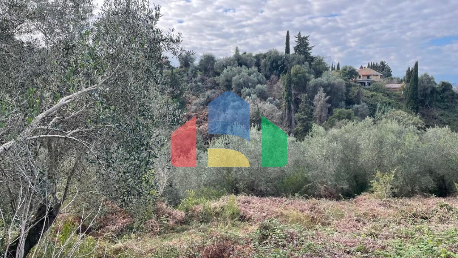 Продажа - Земельный участок 7754 m² на о. Корфу