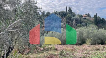 Продажа - Земельный участок 7754 m² на о. Корфу