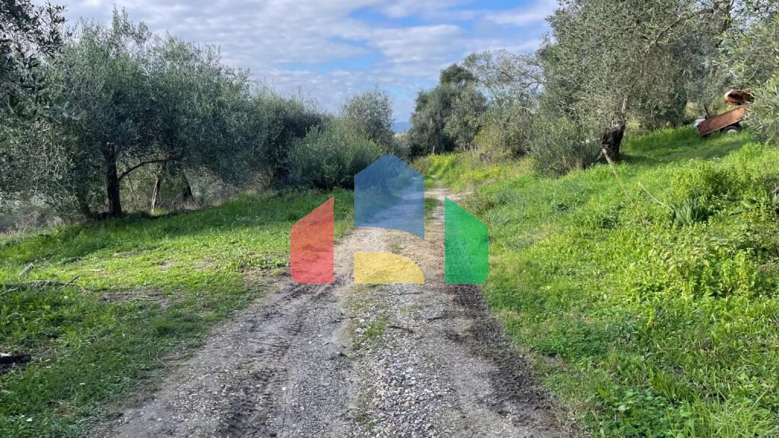 Продажа - Земельный участок 7754 m² на о. Корфу