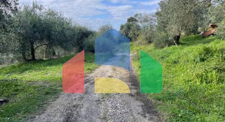 Продажа - Земельный участок 7754 m² на о. Корфу