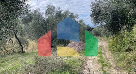 Продажа - Земельный участок 7754 m² на о. Корфу