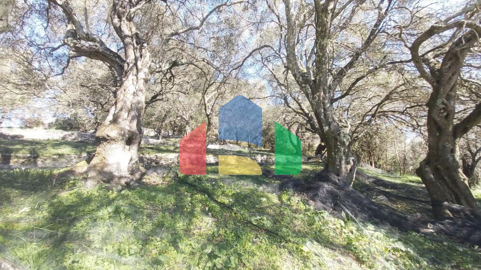 Продажа - Земельный участок 1880 m² на о. Корфу