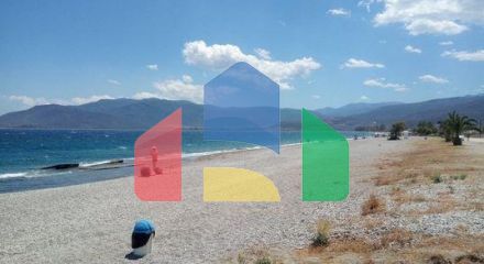 Продаж - Земельна ділянка 2030 m² на Пелопоннесі