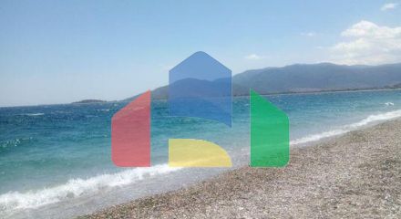 Продаж - Земельна ділянка 2030 m² на Пелопоннесі