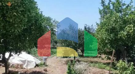 Продажа - Коттедж 90 m² на Пелопоннесе Продажа - Коттедж 90 m² на Пелопоннесе