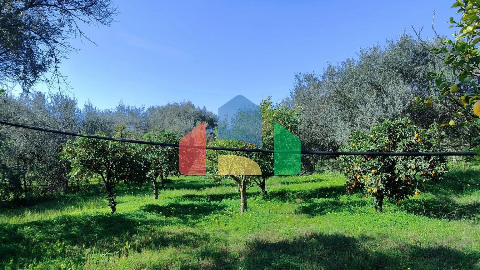 Продажа - Коттедж 155 m² на Пелопоннесе