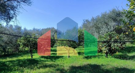 Продажа - Коттедж 155 m² на Пелопоннесе