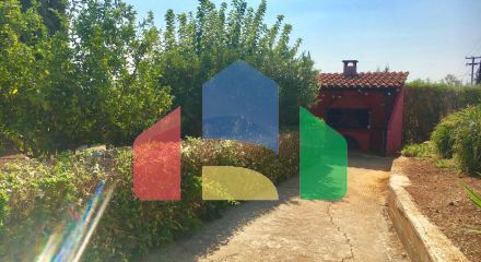 Продаж - Котедж 269 m² на Пелопоннесі