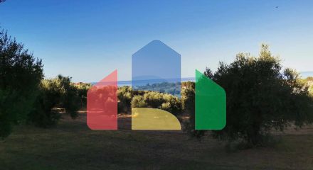 Продажа - Земельный участок 6253 m² на Пелопоннесе
