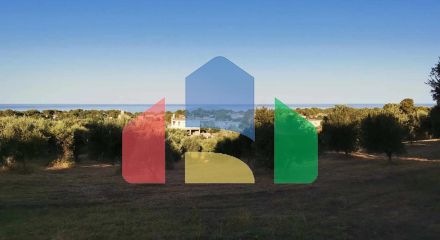 Продажа - Земельный участок 6253 m² на Пелопоннесе